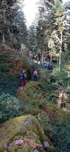 Messenger creation C5F66A2D-C713-4D0F-A6F2-4854206D1E7A