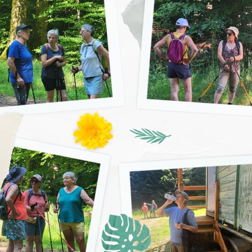 18/06/2025 - Rando à Gruey les Surances