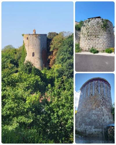 Collage 2025-08-24 18 56 25 (1)