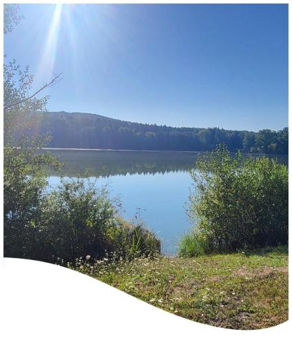 Collage 2025-08-24 19 24 55 (1)