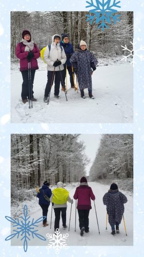 Collage 2026-01-03 17 21 37