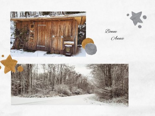 Collage 2026-01-03 17 29 47