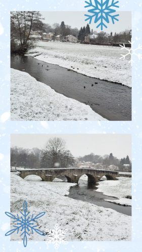 Collage 2026-01-03 17 33 57