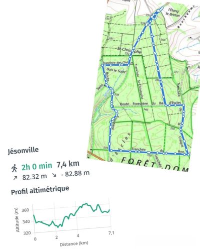 Collage 2026-02-07 17 30 35