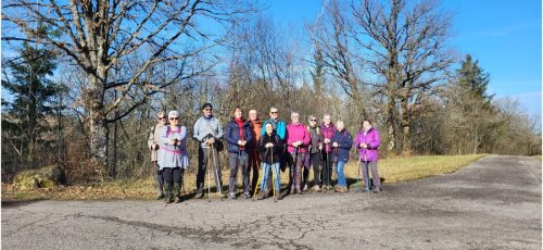 Collage 2026-02-07 17 33 18