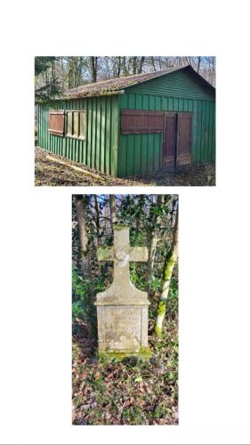 Collage 2026-02-07 17 37 22