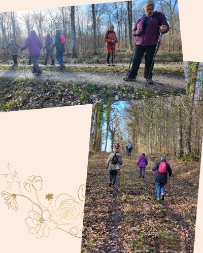 Collage 2026-02-07 19 50 52