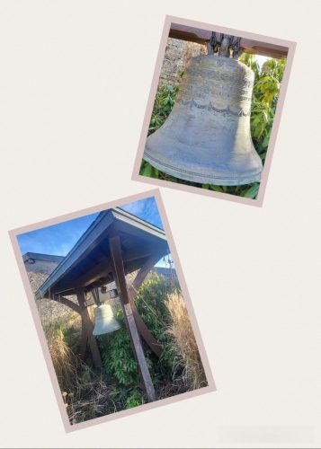 Collage 2026-02-04 18 09 12