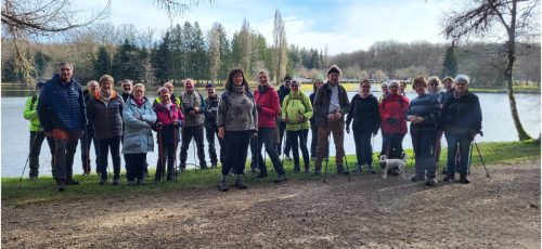 Collage 2026-02-04 18 14 42