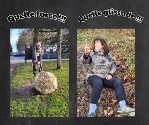 Collage 2026-02-04 18 28 00