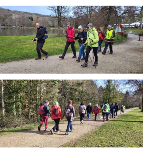 Collage 2026-02-04 18 34 54