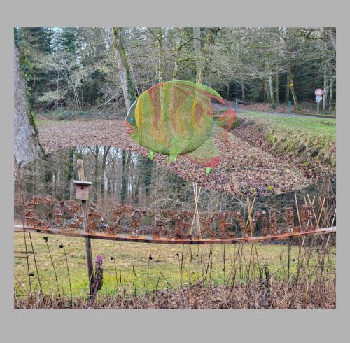 Collage 2026-02-04 18 39 16