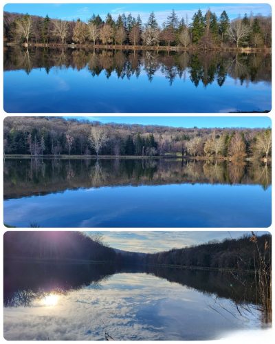 Collage 2026-02-04 18 40 37