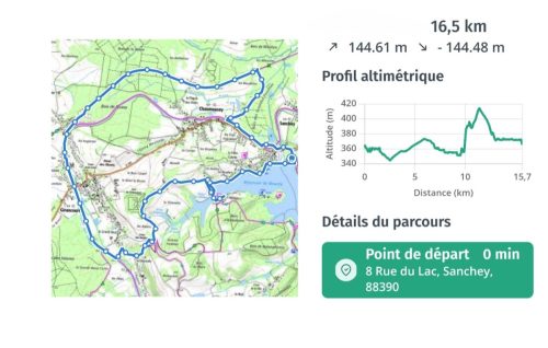 Collage 2026-03-04 16 06 40