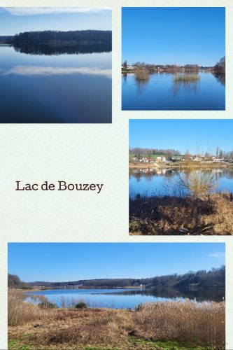 Collage 2026-03-04 16 20 30