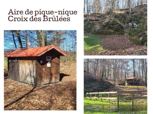 Collage 2026-03-04 16 23 58