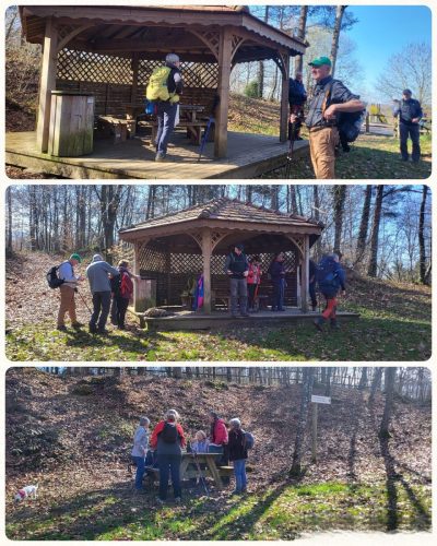 Collage 2026-03-04 16 27 32