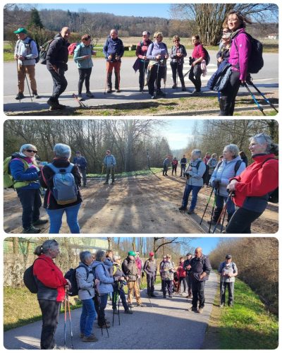 Collage 2026-03-04 16 35 43