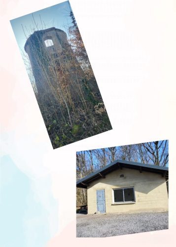 Collage 2026-03-04 16 52 35