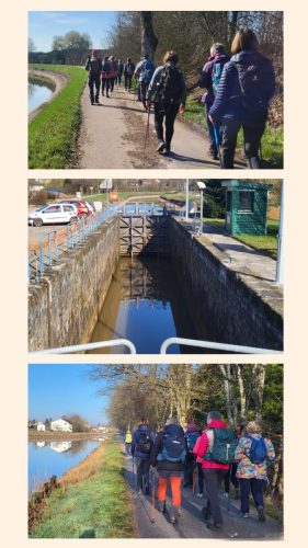 Collage 2026-03-04 16 56 17