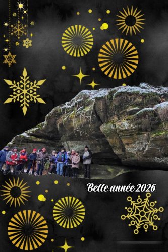 Collage 2026-01-07 18 16 11