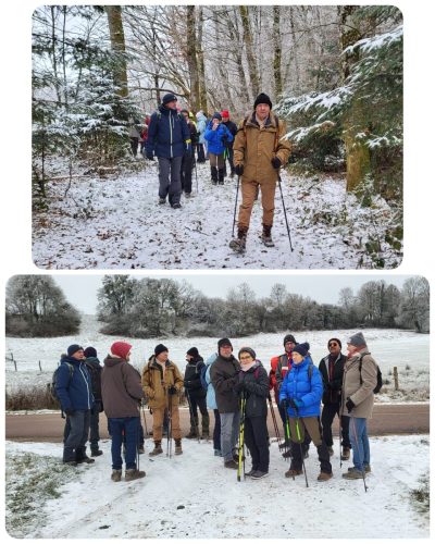 Collage 2026-01-07 19 17 23