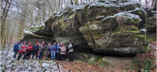 Collage 2026-01-07 19 29 15