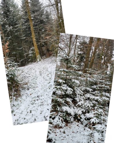 Collage 2026-01-07 19 32 41