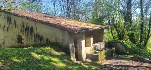 20260415 113239