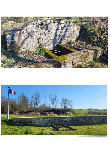 Collage 2026-03-18 18 46 14