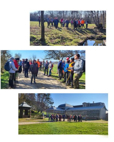 Collage 2026-03-18 18 48 36