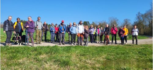 Collage 2026-03-18 18 50 43