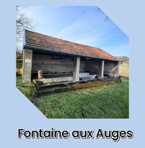 Collage 2026-01-21 19 27 11