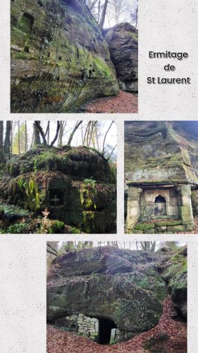 Collage 2026-01-21 19 39 58