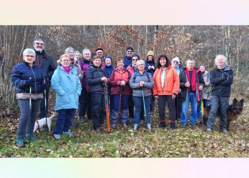 Collage 2026-01-21 19 45 33