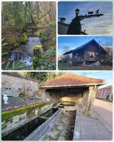 Collage 2026-01-21 19 50 29