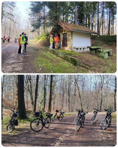 Collage 2026-02-25 17 36 55