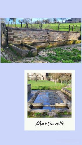 Collage 2026-02-25 18 05 12